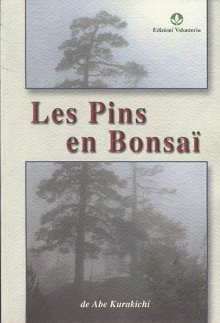 Les pins en bonsai [ed. volonterio]