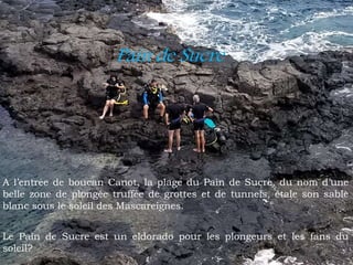 Pain de Sucre
A l’entrée de boucan Canot, la plage du Pain de Sucre, du nom d’une
belle zone de plongée truffée de grottes et de tunnels, étale son sable
blanc sous le soleil des Mascareignes.
Le Pain de Sucre est un eldorado pour les plongeurs et les fans du
soleil?
 