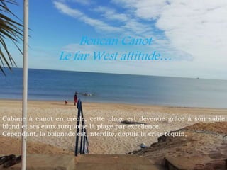 Boucan Canot
Le far West attitude…
Cabane à canot en créole, cette plage est devenue grâce à son sable
blond et ses eaux turquoise la plage par excellence.
Cependant, la baignade est interdite, depuis la crise requin,
 
