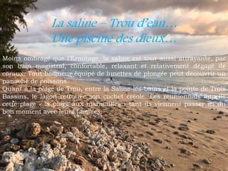 La saline – Trou d’eau…
Une piscine des dieux…
Moins ombragé que l’Ermitage, la saline est tout aussi attrayante, par
son bain magistral, confortable, relaxant et relativement dégagé de
coraux. Tout baigneur équipé de lunettes de plongée peut découvrir un
panaché de poissons.
Quant à la plage de Trou, entre la Saline-les-bains et la pointe de Trois
Bassins, le lagon retrouve son cachet créole. Les réunionnais appelle
cette plage « la plage aux marmailles » tant ils viennent passer ici du
bon moment avec leurs familles.
 