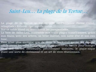Saint-Leu… La plage de la Tortue…
La plage de la Tortue se trouve près de l’ancienne Ferme Corail,
rebaptisée « Kélonia » qui signifie tortue.
Sur ce sable blond ou atterrissent les parapentistes.
La baie de Saint-Leu, ressemble aux vrais plages mauriciennes, grâce
aux filaos, avec ses arbres, sa brise marine, son sable d’or et son eau
lisse.
Rien n’est plus exotique que de venir le week-end goûter au charme
créole parmi les saint-leusiens qui se retrouvent en famille pour manger
sous des bâches ombreuses, paisiblement installés, le pique-nique
étant une sorte de cérémonial et un art de vivre réunionnais.
 