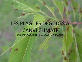 LES PLAGUES DEGUDES AL CANVI CLIMÀTIC CHLOE CAMPBELL – MARINA DANIEL 