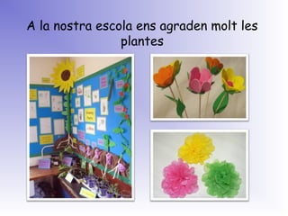 A la nostra escola ens agraden molt les
plantes
 