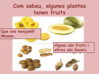 Com sabeu, algunes plantes
             tenen fruits


Que ens menjam!!!
Mmmm…

                    Alguns són fruits i
                    altres són llavors.
 