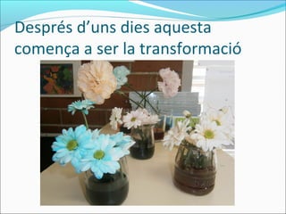 Després d’uns dies aquesta
comença a ser la transformació
 