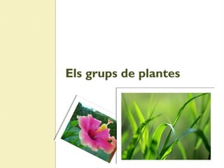Els grups de plantes
 