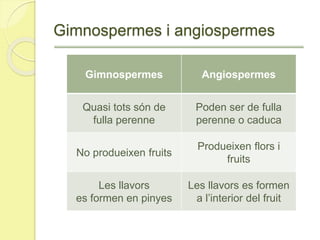 Gimnospermes i angiospermes
Gimnospermes Angiospermes
Quasi tots són de
fulla perenne
Poden ser de fulla
perenne o caduca
No produeixen fruits
Produeixen flors i
fruits
Les llavors
es formen en pinyes
Les llavors es formen
a l’interior del fruit
 
