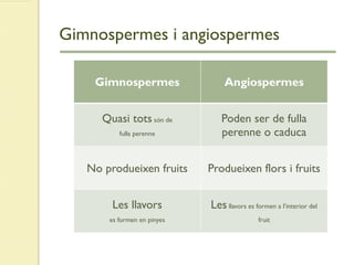 Gimnospermes i angiospermes
Gimnospermes Angiospermes
Quasi tots són de
fulla perenne
Poden ser de fulla
perenne o caduca
No produeixen fruits Produeixen flors i fruits
Les llavors
es formen en pinyes
Les llavors es formen a l’interior del
fruit
 