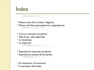 Índex
Els grups de plantes
• Plantes sense flors: molses i falgueres
• Plantes amb flors: gimnospermes i angiospermes
Funció de nutrició de les plantes
• Com es nodreixen les plantes
• Saba bruta i saba elaborada
• La fotosíntesi
• La respiració
Funció de reproducció de les plantes
• Reproducció sexual de les plantes
• Reproducció asexual de les plantes
Funció de relació de les plantes
• El creixement i el moviment.
• La percepció del temps.
 