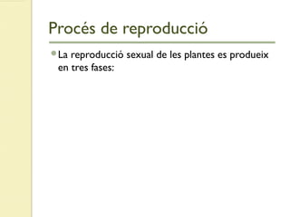 Procés de reproducció
La reproducció sexual de les plantes es produeix
en tres fases:
 