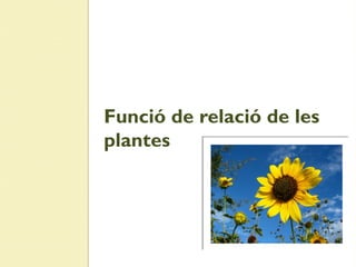 Funció de relació de les
plantes
 