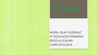 LES PLANTES
NÚRIA, BLAI I QUERALT
4T EDUCACIÓ PRIMÀRIA
ESCOLA D’ALINS
CURS 2015-2016
 