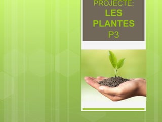 PROJECTE:
LES
PLANTES
P3
 