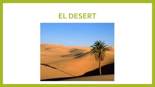 EL DESERT
 
