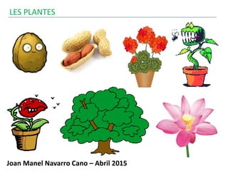 Joan Manel Navarro Cano – Abril 2015
LES PLANTES
 