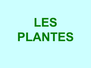 LES
PLANTES
 