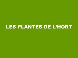 LES PLANTES DE L’HORT
 