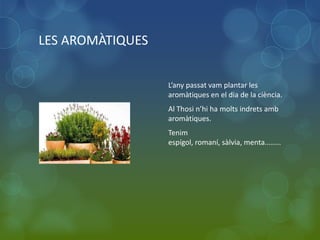 LES AROMÀTIQUES


                  L’any passat vam plantar les
                  aromàtiques en el dia de la ciència.
                  Al Thosi n’hi ha molts indrets amb
                  aromàtiques.
                  Tenim
                  espígol, romaní, sàlvia, menta........
 
