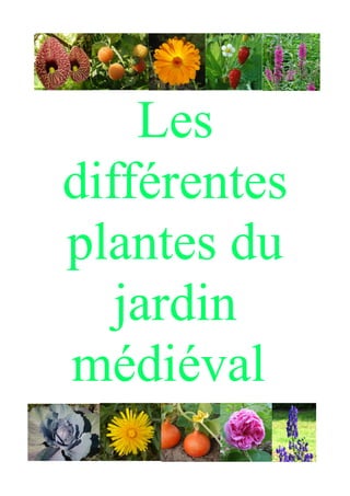 Les
différentes
plantes du
jardin
médiéval
 