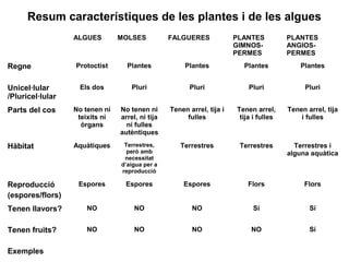 Resum característiques de les plantes i de les algues
ALGUES MOLSES FALGUERES PLANTES
GIMNOS-
PERMES
PLANTES
ANGIOS-
PERMES
Regne Protoctist Plantes Plantes Plantes Plantes
Unicel·lular
/Pluricel·lular
Els dos Pluri Pluri Pluri Pluri
Parts del cos No tenen ni
teixits ni
òrgans
No tenen ni
arrel, ni tija
ni fulles
autèntiques
Tenen arrel, tija i
fulles
Tenen arrel,
tija i fulles
Tenen arrel, tija
i fulles
Hàbitat Aquàtiques Terrestres,
però amb
necessitat
d’aigua per a
reproducció
Terrestres Terrestres Terrestres i
alguna aquàtica
Reproducció
(espores/flors)
Espores Espores Espores Flors Flors
Tenen llavors? NO NO NO Sí Sí
Tenen fruits? NO NO NO NO Sí
Exemples
 