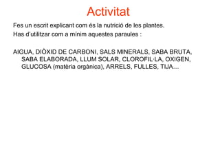 Activitat
Fes un escrit explicant com és la nutrició de les plantes.
Has d’utilitzar com a mínim aquestes paraules :
AIGUA, DIÒXID DE CARBONI, SALS MINERALS, SABA BRUTA,
SABA ELABORADA, LLUM SOLAR, CLOROFIL·LA, OXIGEN,
GLUCOSA (matèria orgànica), ARRELS, FULLES, TIJA…
 