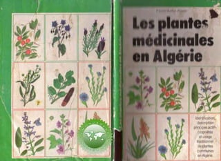 Les plantes médicinales en Algérie