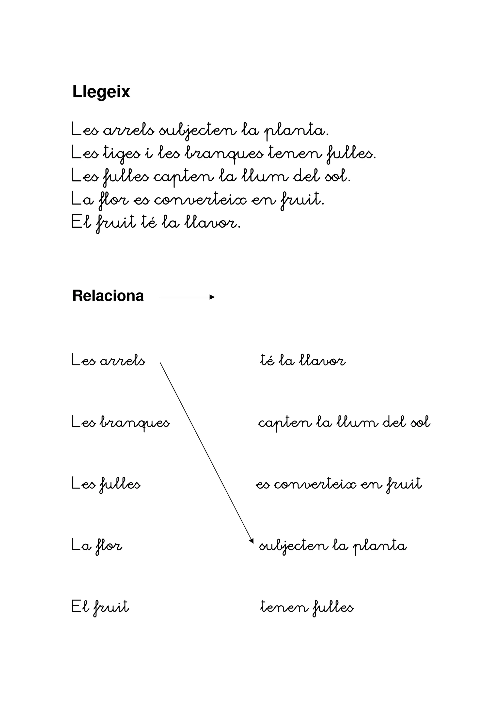 Llegeix

Les arrels subjecten la planta.
Les tiges i les branques tenen fulles.
Les fulles capten la llum del sol.
La flor es converteix en fruit.
El fruit té la llavor.



Relaciona



Les arrels               té la llavor



Les branques             capten la llum del sol



Les fulles               es converteix en fruit



La flor                  subjecten la planta



El fruit                       fulles
                         tenen fulles
 