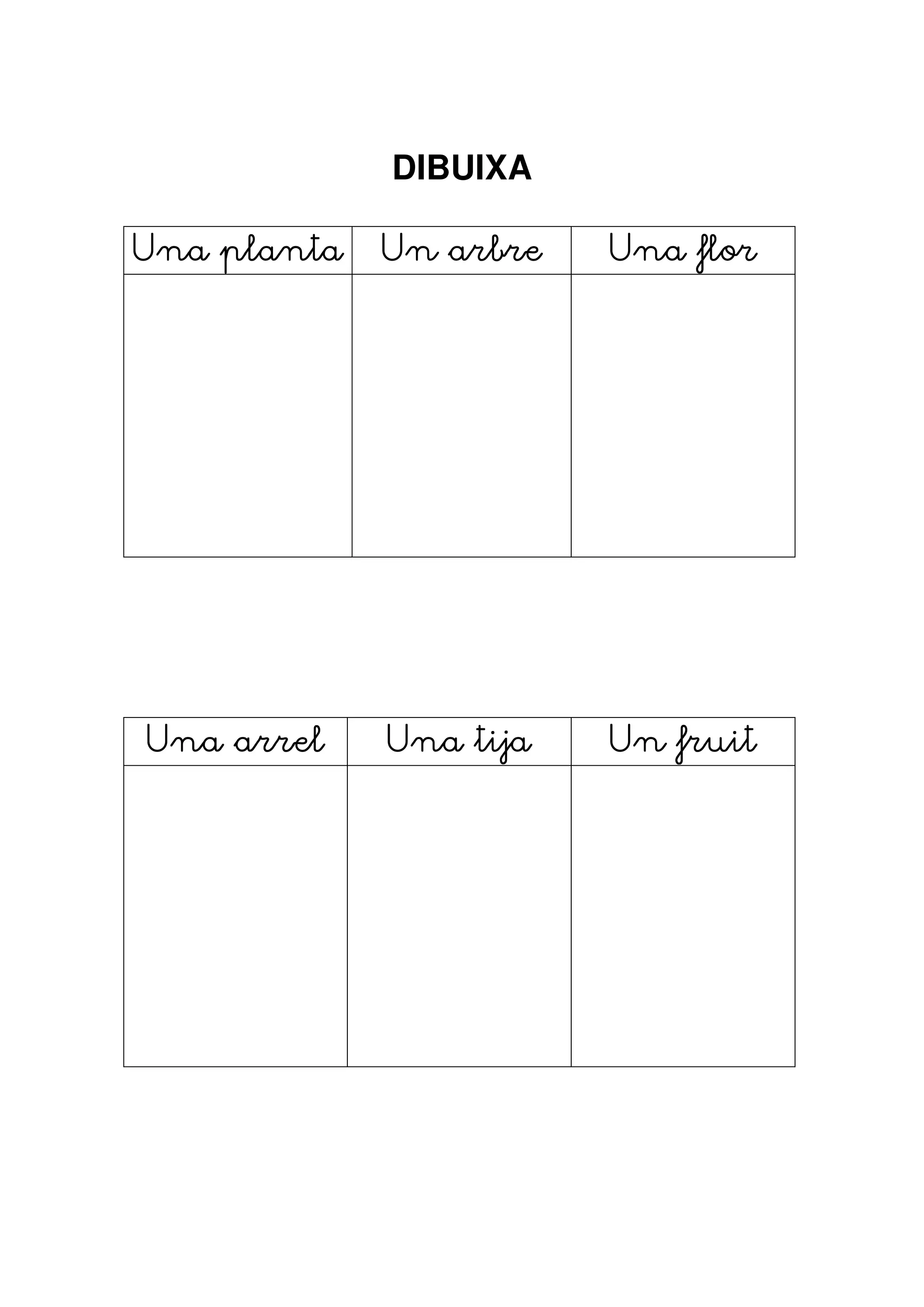 DIBUIXA

Una planta   Un arbre   Una flor




Una arrel    Una tija   Un fruit
 