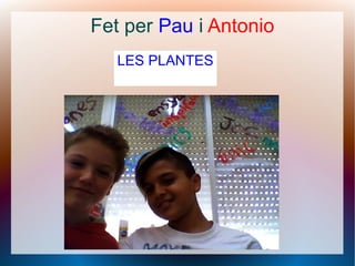 LES PLANTES
Fet per Pau i Antonio
 