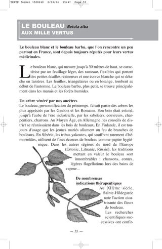 TEXTE format 150X240   2/03/04   15:47   Page 55




      LE BOULEAU                   Betula alba
      AUX MILLE VERTUS

     Le bouleau blanc et le bouleau barbu, que l'on rencontre un peu
     partout en France, sont depuis toujours réputés pour leurs vertus
     médicinales.



     L
            e bouleau blanc, qui mesure jusqu'à 30 mètres de haut, se carac-
            térise par un feuillage léger, des rameaux flexibles qui portent
            des petites écailles résineuses et une écorce blanche qui se déta-
     che en lanières. Les feuilles, triangulaires ou en losange, tombent au
     début de l'automne. Le bouleau barbu, plus petit, se trouve principale-
     ment dans les marais et les forêts humides.

     Un arbre vénéré par nos ancêtres
     Le bouleau, personnification du printemps, faisait partie des arbres les
     plus appréciés par les Gaulois et les Romains. Son bois était estimé,
     jusqu'à l'aube de l'ère industrielle, par les sabotiers, couvreurs, char-
     pentiers, charrons. Au Moyen Âge, en Allemagne, les conseils de dis-
     trict se réunissaient dans les bois de bouleaux. En Finlande, il est tou-
     jours d'usage que les jeunes mariés allument un feu de branches de
     bouleaux. En Sibérie, les tribus yakoutes, qui souffrent rarement d'hé-
     morroïdes, utilisent de fines écorces de bouleau comme papier hygié-
                  nique. Dans les autres régions du nord de l'Europe
                                   (Estonie, Lituanie, Russie), les traditions
                                         mettant en valeur le bouleau sont
                                          innombrables : chansons, contes,
                                       légères flagellations lors des bains de
                                    vapeur...

                                         De nombreuses
                                         indications thérapeutiques
                                                       Au XIIème siècle,
                                                         Sainte-Hildegarde
                                                          note l'action cica-
                                                          trisante des fleurs
                                                           de bouleau.
                                                           Les recherches
                                                           scientifiques suc-
                                                        cessives ont confir-

                                     — 55 —
 
