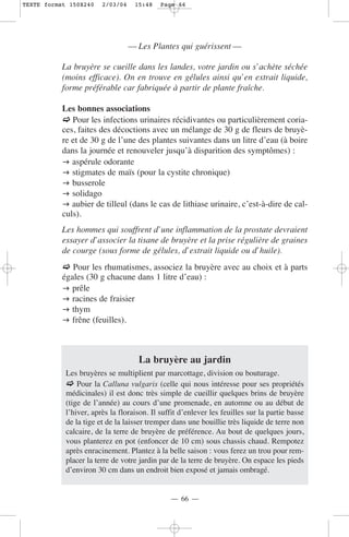 TEXTE format 150X240    2/03/04    15:48    Page 66




                                  — Les Plantes qui guérissent —

           La bruyère se cueille dans les landes, votre jardin ou s’achète séchée
           (moins efficace). On en trouve en gélules ainsi qu’en extrait liquide,
           forme préférable car fabriquée à partir de plante fraîche.

           Les bonnes associations
              Pour les infections urinaires récidivantes ou particulièrement coria-
           ces, faites des décoctions avec un mélange de 30 g de fleurs de bruyè-
           re et de 30 g de l’une des plantes suivantes dans un litre d’eau (à boire
           dans la journée et renouveler jusqu’à disparition des symptômes) :
              aspérule odorante
              stigmates de maïs (pour la cystite chronique)
              busserole
              solidago
              aubier de tilleul (dans le cas de lithiase urinaire, c’est-à-dire de cal-
           culs).
           Les hommes qui souffrent d’une inflammation de la prostate devraient
           essayer d’associer la tisane de bruyère et la prise régulière de graines
           de courge (sous forme de gélules, d’extrait liquide ou d’huile).
              Pour les rhumatismes, associez la bruyère avec au choix et à parts
           égales (30 g chacune dans 1 litre d’eau) :
              prêle
              racines de fraisier
              thym
              frêne (feuilles).



                                    La bruyère au jardin
            Les bruyères se multiplient par marcottage, division ou bouturage.
                Pour la Calluna vulgaris (celle qui nous intéresse pour ses propriétés
            médicinales) il est donc très simple de cueillir quelques brins de bruyère
            (tige de l’année) au cours d’une promenade, en automne ou au début de
            l’hiver, après la floraison. Il suffit d’enlever les feuilles sur la partie basse
            de la tige et de la laisser tremper dans une bouillie très liquide de terre non
            calcaire, de la terre de bruyère de préférence. Au bout de quelques jours,
            vous planterez en pot (enfoncer de 10 cm) sous chassis chaud. Rempotez
            après enracinement. Plantez à la belle saison : vous ferez un trou pour rem-
            placer la terre de votre jardin par de la terre de bruyère. On espace les pieds
            d’environ 30 cm dans un endroit bien exposé et jamais ombragé.


                                               — 66 —
 