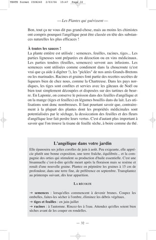 TEXTE format 150X240   2/03/04    15:47   Page 32




                                 — Les Plantes qui guérissent —

           Bon, tout ça ne vous dit pas grand-chose, mais au moins les chimistes
           ont compris pourquoi l'angélique peut être classée en tête des substan-
           ces naturelles les plus efficaces !

           À toutes les sauces !
           La plante entière est utilisée : semences, feuilles, racines, tiges... Les
           parties ligneuses sont préparées en décoction ou en vins médicinaux.
           Les parties tendres (feuilles, semences) servent aux infusions. Les
           semences sont utilisées comme condiment dans la choucroute (c'est
           vrai que ça aide à digérer !), les "pickles" de nos amis Grands-Bretons
           ou les marinades. Racines et graines font partie des recettes secrètes de
           liqueurs bien de chez nous, comme la Chartreuse. Dans les pays nor-
           diques, les tiges sont confites et servies avec les gâteaux de Noël ou
           bien tout simplement découpées et disposées sur des tartines de beur-
           re. En Laponie, on conserve le poisson dans des feuilles d'angélique et
           on la mange (tiges et feuilles) en légumes bouillis dans du lait. Les uti-
           lisations sont donc nombreuses. Il faut pourtant savoir que, contraire-
           ment à la plupart des plantes dont les propriétés médicinales sont
           potentialisées par le séchage, la dessiccation des feuilles et des fleurs
           d'angélique leur fait perdre leurs vertus. C'est d'autant plus important à
           savoir que l'on trouve la tisane de feuille sèche, à boire comme du thé.




                             L'angélique dans votre jardin
            Elle épanouira ses jolies corolles de juin à août. Peu exigeante, elle appré-
            cie plutôt une bonne exposition, une terre fraîche, équilibrée... et la com-
            pagnie des orties qui stimulent sa production d'huile essentielle. C'est une
            bisannuelle c’est-à-dire qu'elle meurt après la floraison mais se resème et
            renaît d'une nouvelle graine. Plantez en pépinière les graines à 15 cm de
            profondeur, dans une terre fine, de préférence en septembre. Transplantez
            au printemps suivant, dès leur apparition.

                                           LA RÉCOLTE

                semences : lorsqu'elles commencent à devenir brunes. Coupez les
            ombelles, faites-les sécher à l'ombre, éliminez les débris végétaux.
               tiges et feuilles : en juin-juillet
               racines : à l'automne. Rincez-les à l'eau. Attendez qu'elles soient bien
            sèches avant de les couper en rondelles.


                                             — 32 —
 