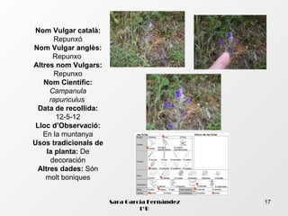 Nom Vulgar català:
        Repunxó
Nom Vulgar anglès:
       Repunxo
Altres nom Vulgars:
        Repunxo
   Nom Científic:
      Campanula
      rapunculus
  Data de recollida:
        12-5-12
 Lloc d’Observació:
   En la muntanya
Usos tradicionals de
     la planta: De
      decoración
  Altres dades: Són
    molt boniques


                       Sara García Fernández   17
                                1ºB
 