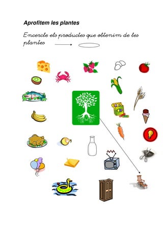 Aprofitem les plantes

Encercle els productes que obtenim de les
plantes
 
