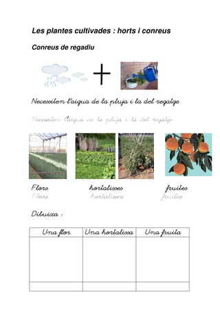 Les plantes cultivades : horts i conreus

Conreus de regadiu




Necessiten l’aigua de la pluja i la del regatge
Necessiten

Necessiten l’’aigua de la pluja i la del regatge
Necessiten l




Flors              hortalisses               fruites
Flors               hortalisses             fruites

Dibuixa

   Una flor       Una hortalissa      Una fruita
 