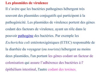 Les plasmides de virulence
Il s’avère que les bactéries pathogènes hébergent très
souvent des plasmides conjugatifs qui participent à la
pathogénicité. Les plasmides de virulence portent des gènes
codant des facteurs de virulence, ayant un rôle dans le
pouvoir pathogène des bactéries. Par exemple les
Escherichia coli entérotoxigéniques (ETEC) responsable de
la diarrhée du voyageur (ou tourista) hébergent au moins
deux plasmides, l'un portant les gènes codant un facteur de
colonisation qui assure l’adhérence des bactéries á l'
épithélium intestinal, l'autre codant des toxines.
 