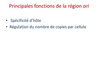 Principales fonctions de la région ori
• Spécificité d’hôte
• Régulation du nombre de copies par cellule
 
