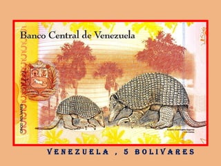 V e n e z u e l a , 5 B o l i V a r e s
 