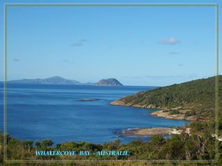 Les plus belles baies