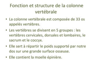 Fonction et structure de la colonne   vertébrale   La colonne vertébrale est composée de 33 os appelés vertèbres. Les vertèbres se divisent en 5 groupes : les vertèbres cervicales, dorsales et lombaires, le sacrum et le coccyx. Elle sert à répartir le poids supporté par notre dos sur une grande surface osseuse. Elle contient la moelle épinière. 