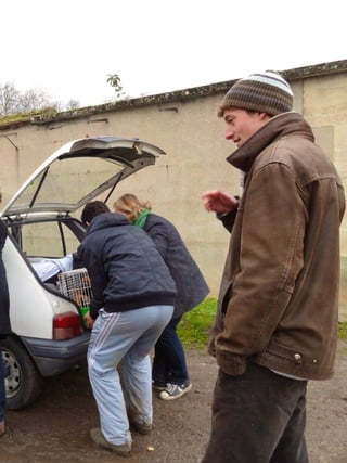 Les poules de picorama