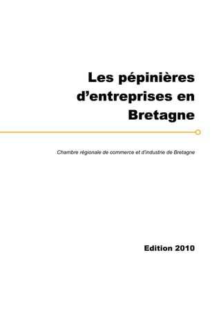 Les pépinières
       d’entreprises en
              Bretagne

Chambre régionale de commerce et d’industrie de Bretagne




                                   Edition 2010
 