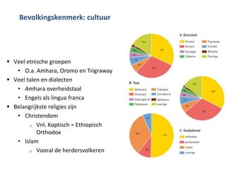 De grote Afrikaanse slenk
 