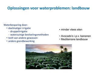 Oplossingen voor waterproblemen: landbouw
Waterbesparing door:
• doelmatiger irrigatie
- druppelirrigatie
- waterzuinige bevloeiingsmethoden
• teelt van andere gewassen
• andere grondbewerking
• minder vlees eten
 Avocado’s i.p.v. bananen
 Mediterrane landbouw
 