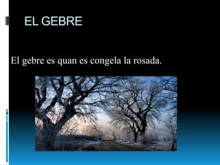 EL GEBRE


El gebre es quan es congela la rosada.
 