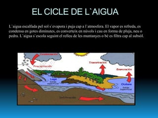 EL CICLE DE L`AIGUA
L`aigua escalfada pel sol s`evapora i puja cap a l`atmosfera. El vapor es refreda, es
condensa en gotes diminutes, es converteix en núvols i cau en forma de pluja, neu o
pedra. L`aigua s`escola seguint el relleu de les muntanyes o bé es filtra cap al subsòl.
 