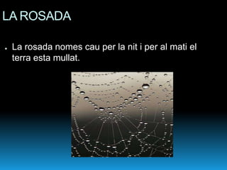 LA ROSADA

●   La rosada nomes cau per la nit i per al mati el
    terra esta mullat.
 