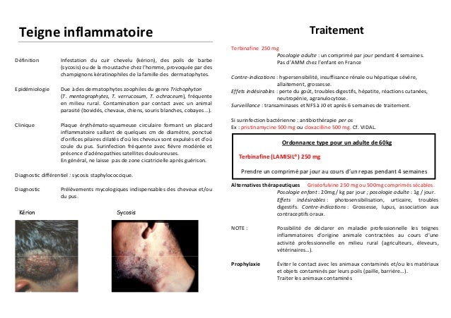 Comment correctement traiter le chat des helminthes