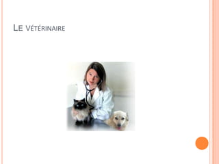 LE VÉTÉRINAIRE