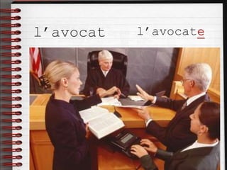 l’avocat l’avocate
 